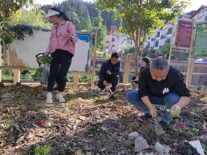 8858cc永利官网驻村工作队挥锹夯土培植花苗